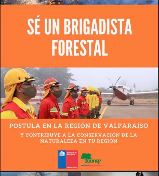 CONAF abrió postulación a brigadas de incendios forestales en la provincia de Petorca