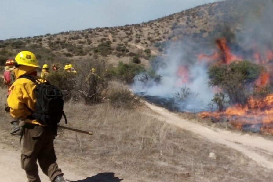 Llaman a la prevención de incendios forestales en la provincia de Petorca