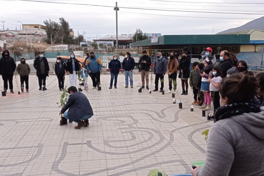 La DPP Petorca  junto al Cecrea de La Ligua llaman adoptar arboles nativos