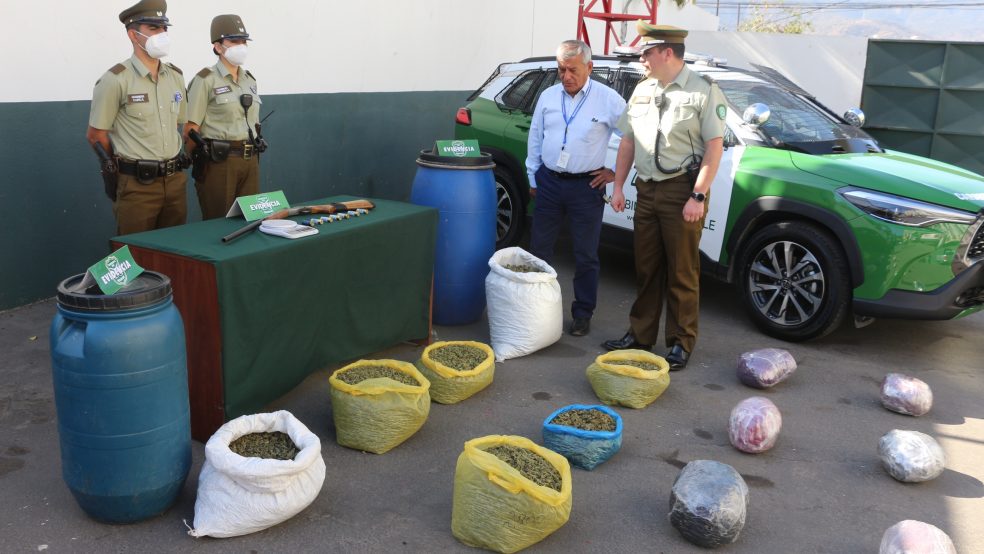 OS-7 de Aconcagua logró incautar más de 29 kilos de cannabis sativa en la comuna de Petorca