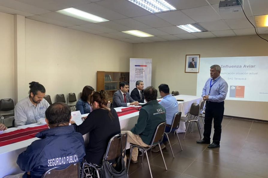 Delegado de Petorca encabezó reunión de coordinación ante la detención de influenza aviar en la región de Valparaíso