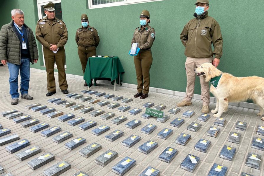 Delegado Presidencial de Petorca anunció el mayor decomiso de clorhidrato de cocaína en lo que va del año: Más de 121 kilos fueron interceptados