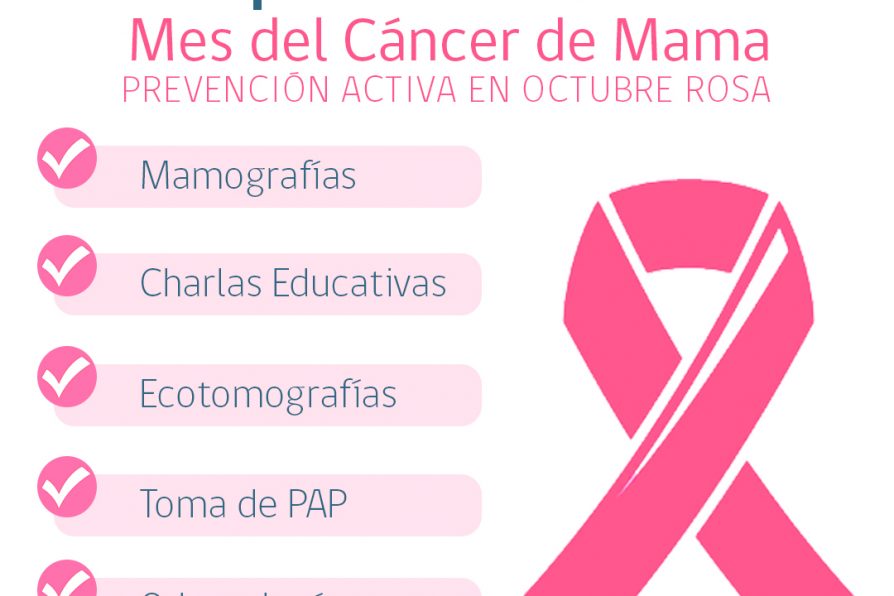 Delegación Presidencial de Petorca conmemora mes del cáncer de mamas con un nuevo operativo médico  