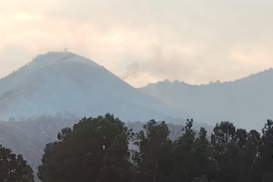 Senapred desactiva alerta roja por incendio forestal que afecto sector La Foresta de Zapallar